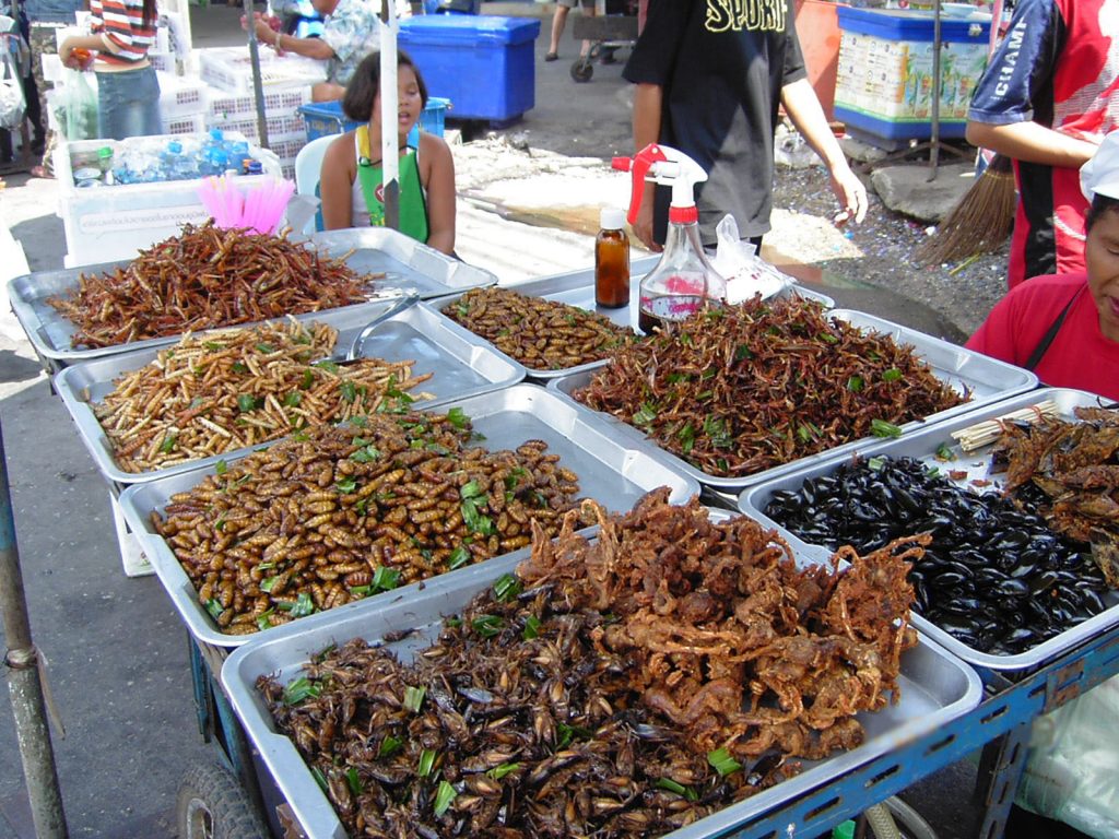 Pourquoi on va bientôt tous manger des insectes comestibles ? 