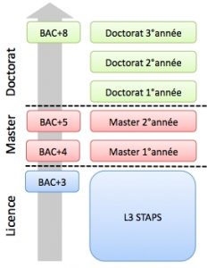 Master STAPS pour être coach sportif avec de solides compétences